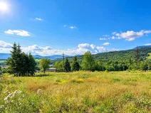 Prodej pozemku pro bydlení, Jeseník, 1184 m2