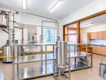 Pronájem výrobních prostor, Nová Ves u Chotěboře, 266 m2