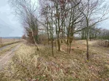 Prodej pozemku, Drahonice - Albrechtice, 2121 m2