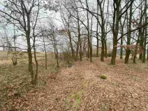 Prodej pozemku, Drahonice - Albrechtice, 2121 m2
