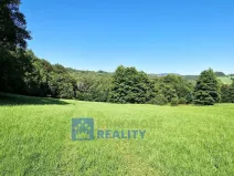 Prodej lesa, Trutnov - Babí, 44299 m2
