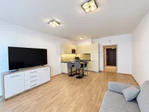 Pronájem bytu 1+kk, Praha - Žižkov, Olšanská, 37 m2