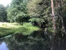 Prodej rybníku, Vítězná, 2385 m2