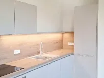 Pronájem bytu 3+kk, Praha - Karlín, Švarcova, 75 m2