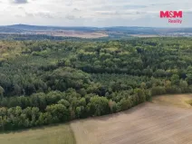 Prodej lesa, Plzeň - Červený Hrádek, 6522 m2