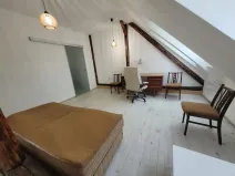 Pronájem bytu 1+1, Brno, Palackého třída, 43 m2