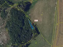 Dražba lesa, Žižkovo Pole, 119 m2