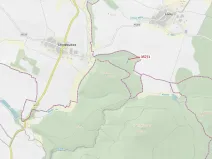 Dražba lesa, Chotěbudice, 1670 m2