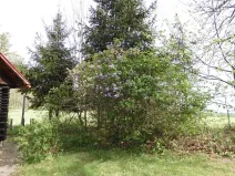 Dražba chaty, Nasavrky, 64 m2