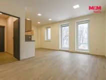 Pronájem bytu 2+kk, Opava - Předměstí, Pekařská, 53 m2