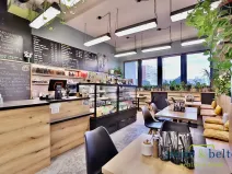 Pronájem obchodního prostoru, Praha - Troja, Lodžská, 254 m2