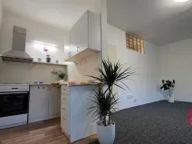Prodej bytu 1+kk, Olomouc, Norská, 39 m2