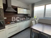 Pronájem obchodního prostoru, Pohořelice, 3700 m2
