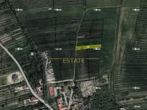 Prodej pole, Suchov, 777 m2