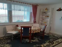 Pronájem bytu 1+1, Hodonín, Brandlova, 39 m2