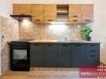 Pronájem bytu 1+1, Olomouc, Družební, 36 m2