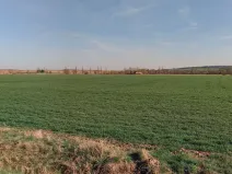 Prodej pole, Nechanice, 22509 m2