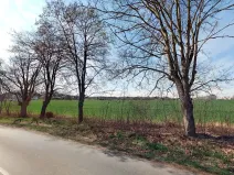 Prodej pozemku pro bydlení, Chlumec nad Cidlinou, 20781 m2