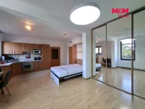 Pronájem bytu 1+kk, Praha - Košíře, Pod Klamovkou, 40 m2