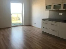 Prodej bytu 2+kk, Plzeň, U Velkého rybníka, 56 m2
