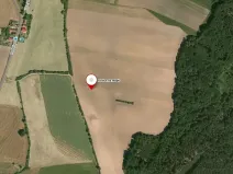 Prodej podílu pozemku, Vysoké Chvojno, 4786 m2