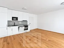 Prodej bytu 1+kk, Praha - Košíře, Starokošířská, 42 m2