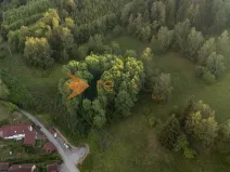 Prodej lesa, Větřní, 3373 m2