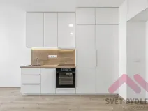 Pronájem bytu 1+kk, Praha - Žižkov, Biskupcova, 25 m2