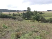 Prodej pole, Tachov, 3504 m2