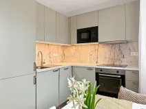 Prodej bytu 1+1, Ústí nad Labem - Střekov, Nová, 42 m2