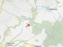 Prodej lesa, Radkovice u Budče, 755 m2