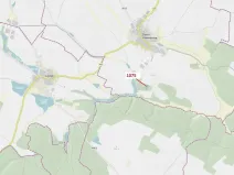 Dražba lesa, Dolní Vilémovice, 1134 m2