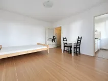 Pronájem bytu 1+kk, Praha - Krč, Sládkovičova, 32 m2