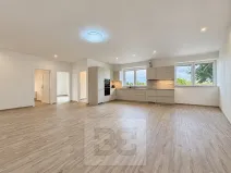 Pronájem rodinného domu, Dolní Dunajovice, Kostelní, 130 m2