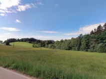 Prodej louky, Dalečín, 12868 m2