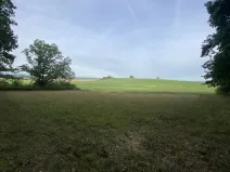 Prodej louky, Ostřetín - Vysoká u Holic, 2972 m2