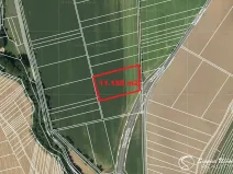 Prodej pole, Rájec-Jestřebí, 11159 m2