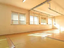 Pronájem výrobních prostor, Brno, Bohunická, 300 m2