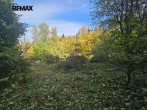 Prodej pozemku pro bydlení, Česká Třebová, 852 m2