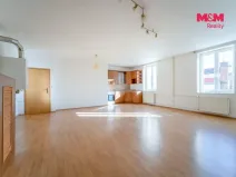 Pronájem bytu 3+kk, Plzeň, Goethova, 123 m2
