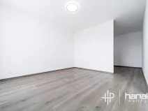 Pronájem bytu 1+1, Olomouc, Foerstrova, 44 m2