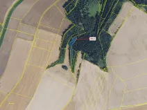 Dražba lesa, Bělá nad Svitavou, 2084 m2