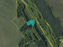Dražba pozemku, Konstantinovy Lázně, 3741 m2