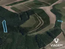Prodej podílu lesa, Brumovice, 2323 m2