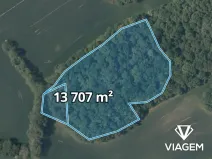 Prodej lesa, Vysoký Újezd, 13707 m2