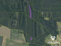 Prodej podílu lesa, Libotenice, 2048 m2