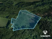 Prodej podílu lesa, Janová, 5802 m2