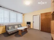Prodej bytu 2+1, Frýdek-Místek, Novodvorská, 45 m2
