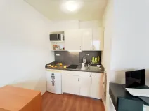 Pronájem bytu 1+kk, Brno, Skořepka, 24 m2