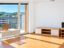 Pronájem bytu 1+kk, Brno, Božetěchova, 38 m2